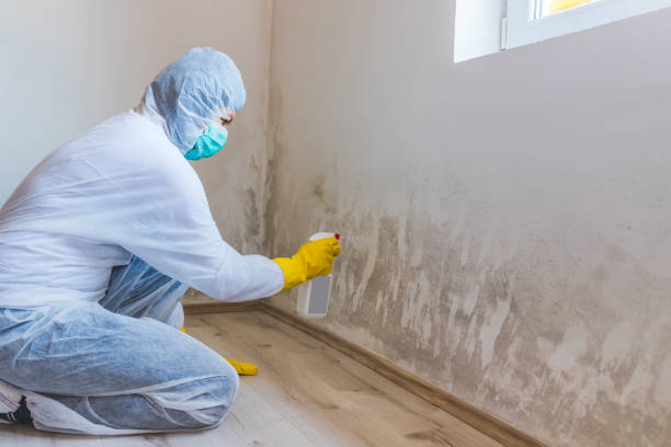 Mold Remediation specialist working in Glencoe